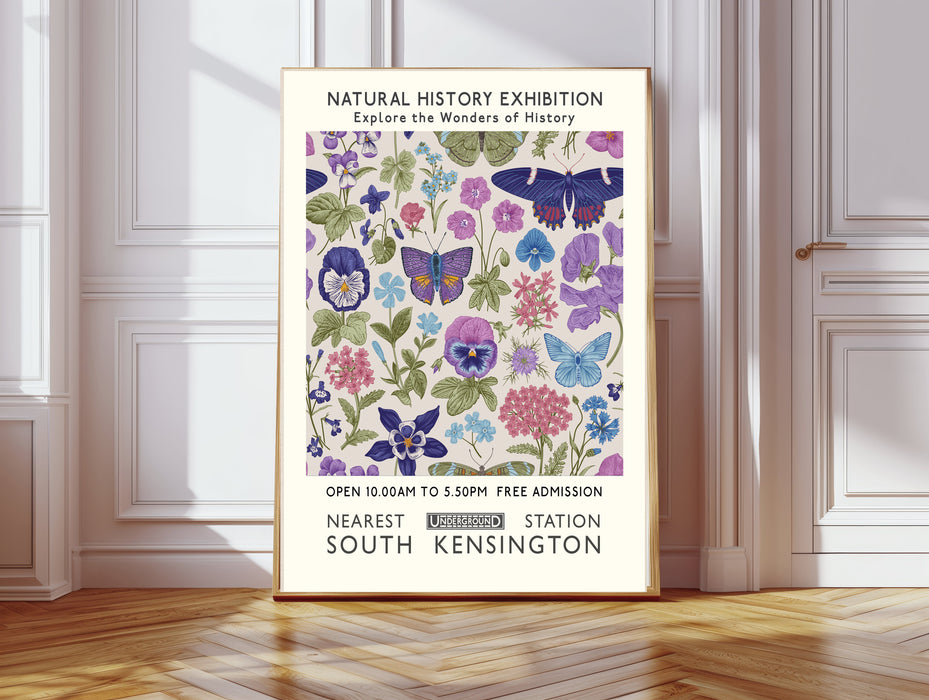 Natural History Exhibition Butterfly Art Print