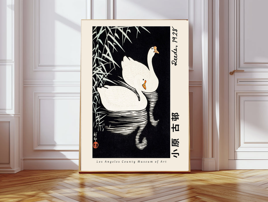 Japanese Swan Exhibition Art Print