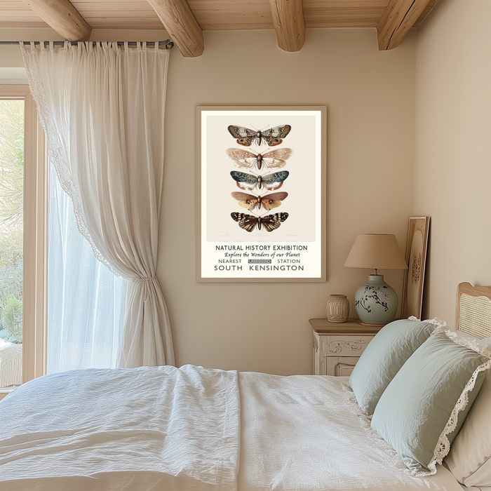Natural History Museum Butterfly Art Print