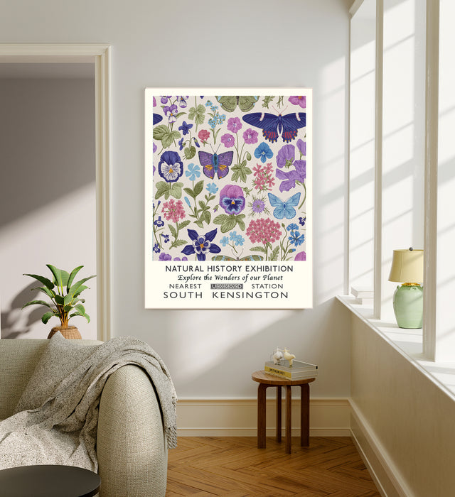 Natural History Exhibition Butterfly Art Print