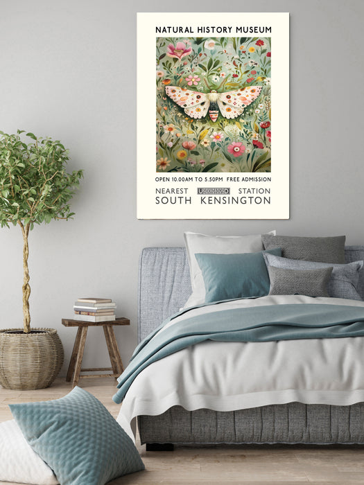 Natural History Museum Butterfly Art Print