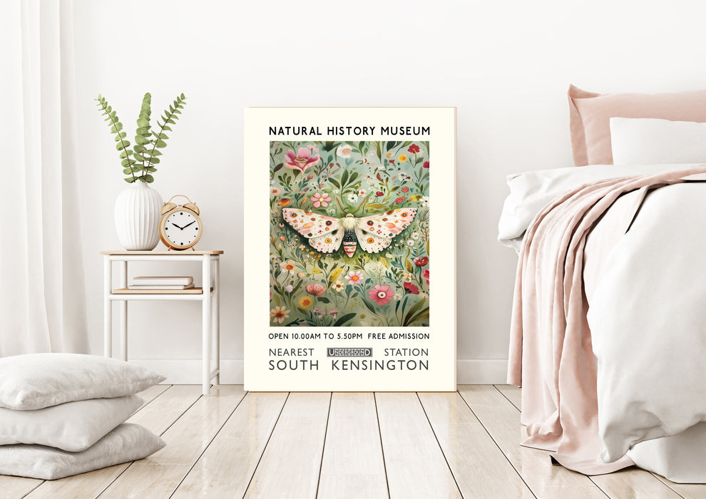 Natural History Museum Butterfly Art Print