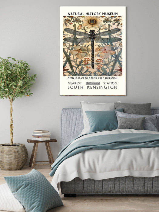 Natural History Dragonfly Museum Art Print