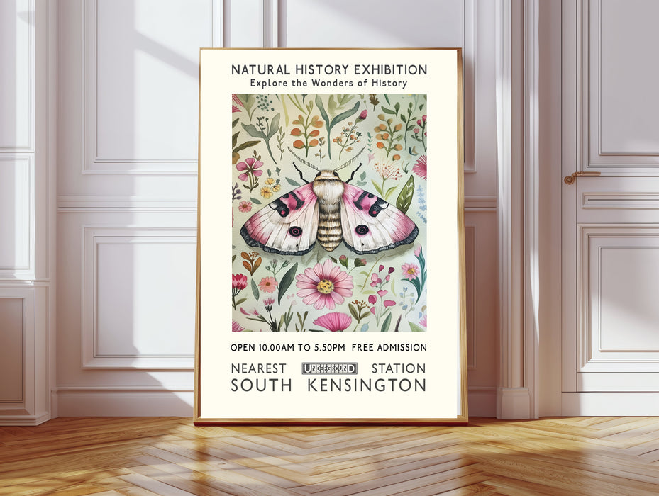 Natural History Museum Butterfly Art Print