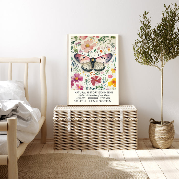 Natural History Exhibition Butterfly Art Print