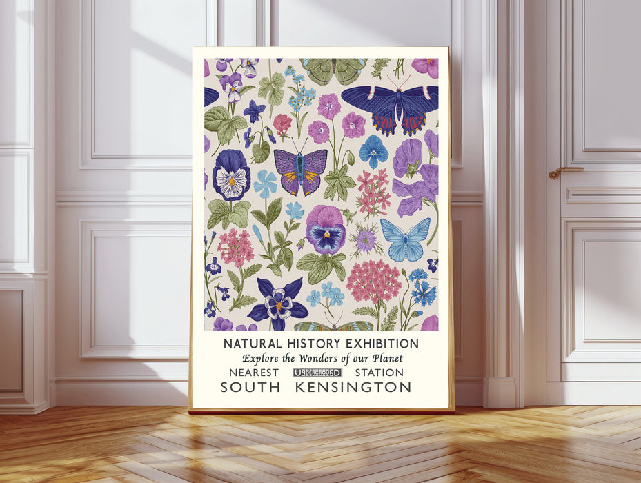 Natural History Exhibition Butterfly Art Print