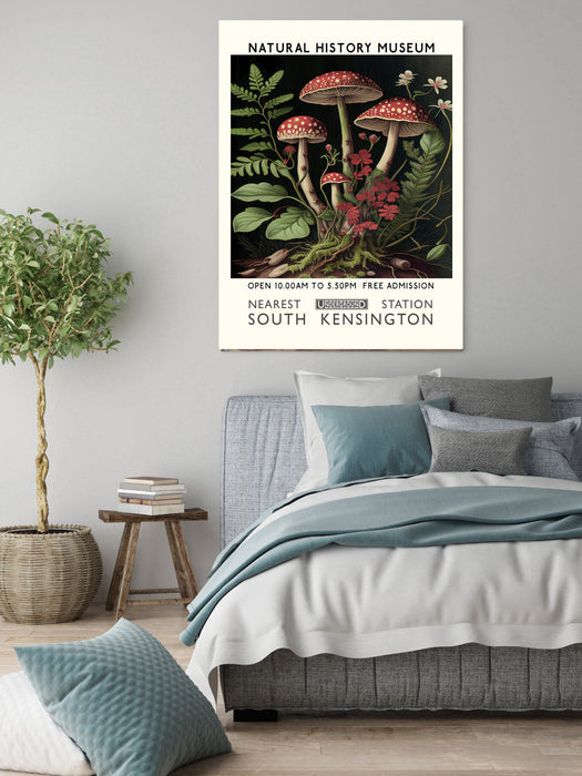 Natural History Mushroom Museum Art Print