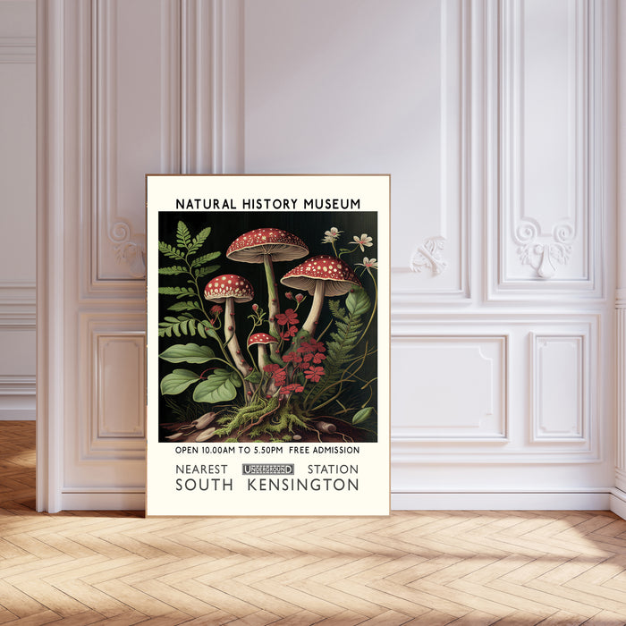 Natural History Mushroom Museum Art Print