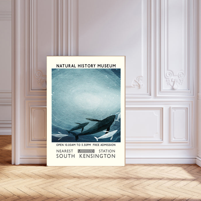 Natural History Whale  Museum Art Print