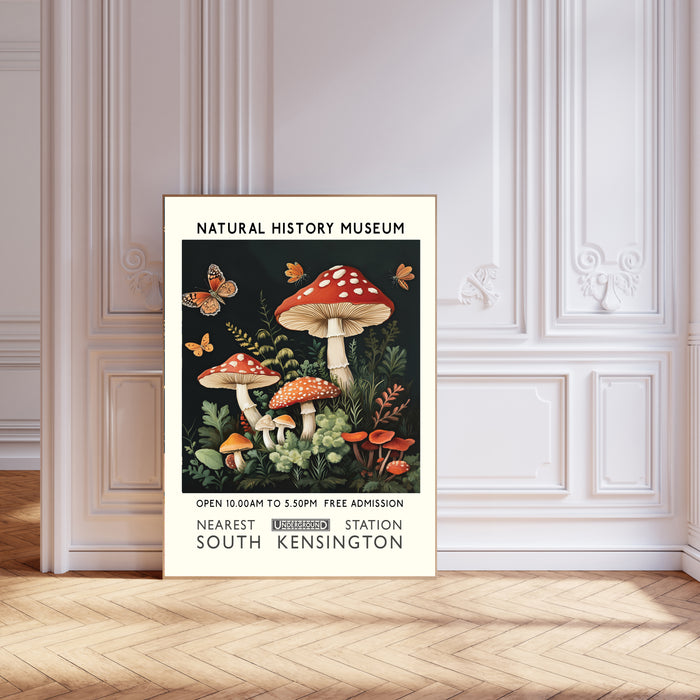 Natural History Mushroom Museum Art Print