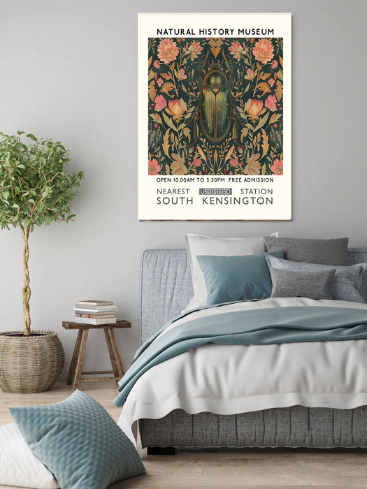 Natural History Beetle Museum Art Print