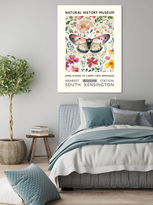 Natural History Museum Butterfly Art Print