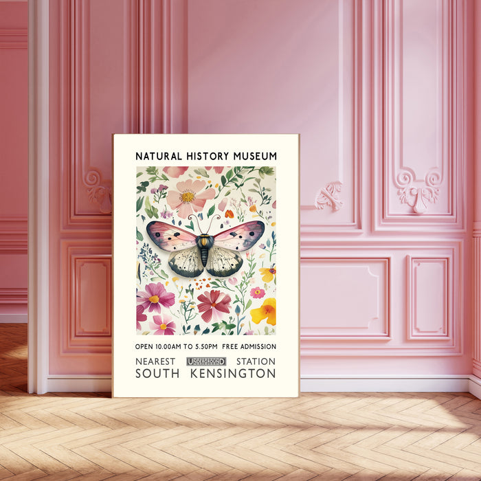 Natural History Museum Butterfly Art Print