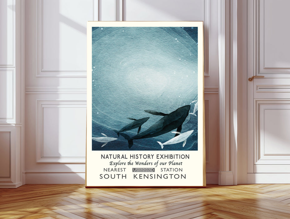 Natural History Whale Ocean Museum Art Print
