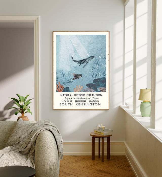 Natural History Museum Sea Whale Art Print