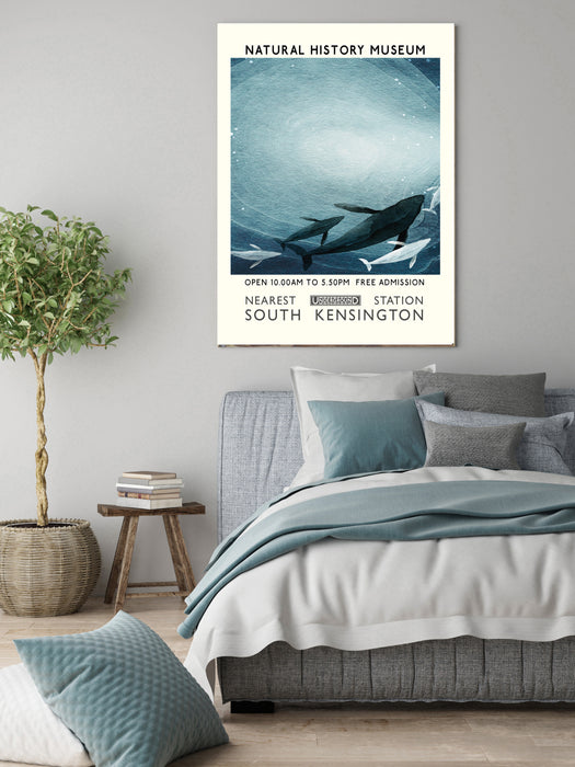 Natural History Whale  Museum Art Print