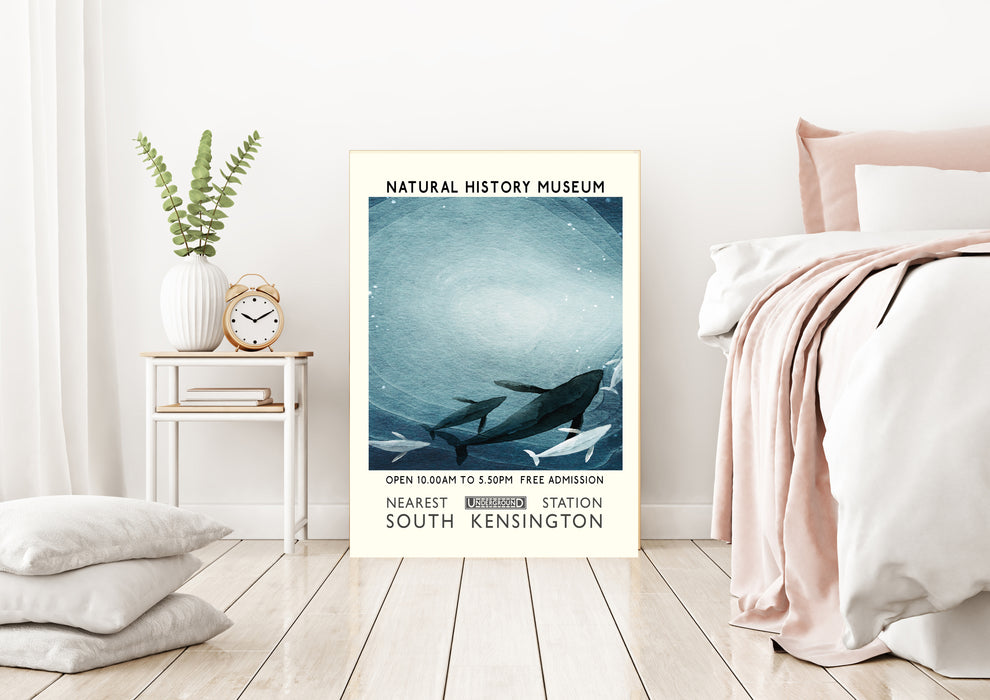 Natural History Whale  Museum Art Print