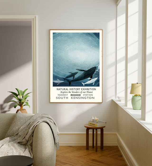 Natural History Whale Ocean Museum Art Print