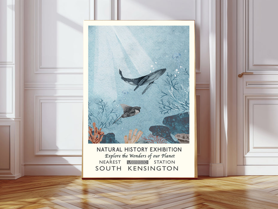 Natural History Museum Sea Whale Art Print