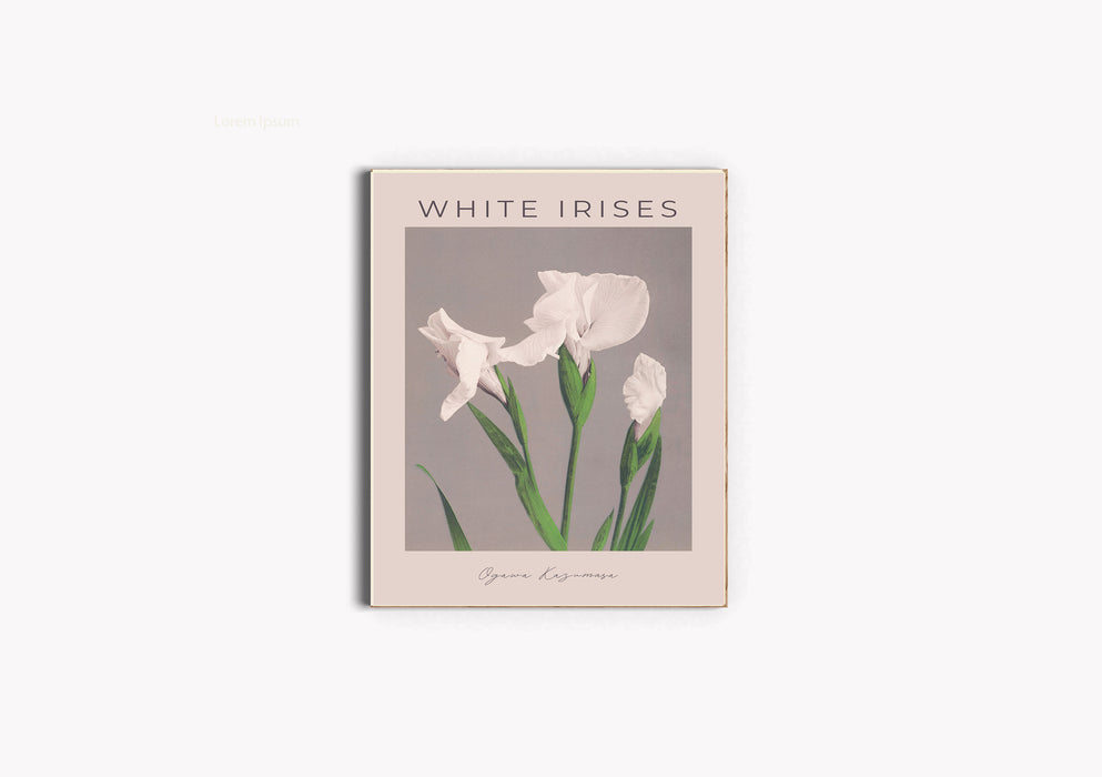 Japanese Vintage Print by Ogawa Kazumasa White Irises