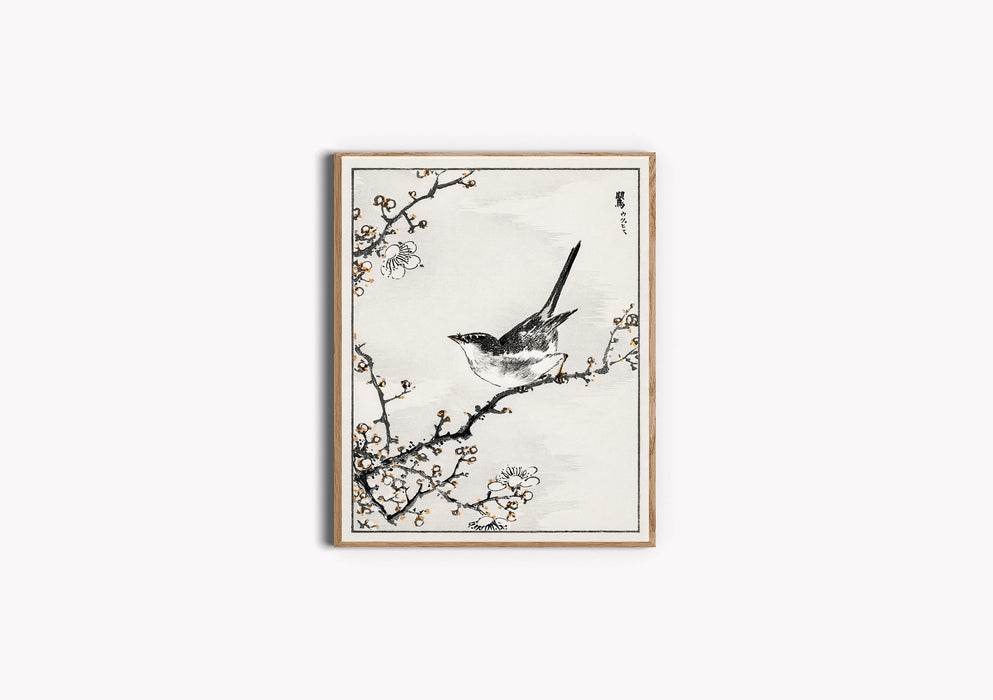 Vintage Japanese Blossom Bird Print