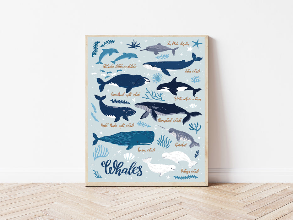 Whales Chart Print